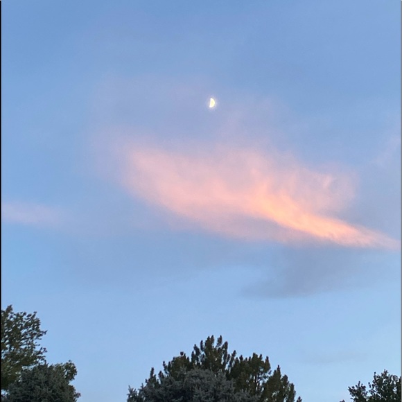 Meet your Posher, Samantha - Picture 8 of 10